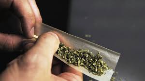 Ce n'est pas vraiment le cannabis, même s'il est nocif, qui est en cause mais plutôt la façon dont les consommateurs le fument. Fumer Du Cannabis Sans Tabac Qu Est Ce Le Cannabis Pur Sensi Seeds