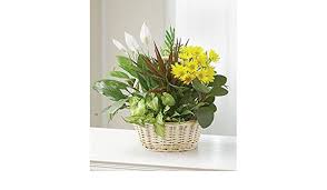 Get well flowers can help your sick friend lift their spirits and help them to recover faster. Amazon Com One Love Same Day Sympathy Flowers Delivery Get Well Soon Flowers Get Well Bouquet Sympathy Flowers Get Well Soon Presents Garden Outdoor