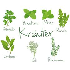 Aufgrund der riesen auswahl sind mit wandtattoos der kreativität keinerlei grenzen gesetzt. Wandtattoo Krauter Motiv Selbstklebend Online Bei Roller Kaufen