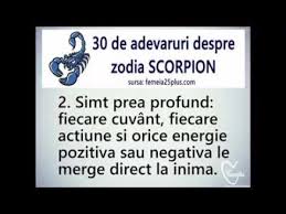 30 Adevăruri Despre Zodia Scorpion Youtube In 2020 Zodiac Cards Against Humanity Scorpion