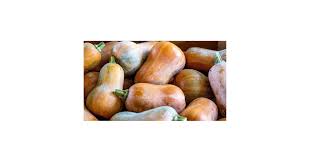 Image result for Buchnera nuttii