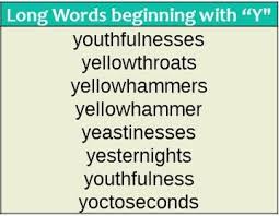 Words That Start With Y Wordrequest Com