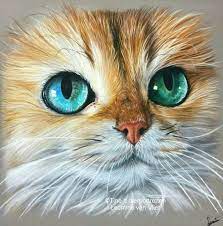 Smoothie Pastel Portrait By Tinesdierportretten Realistic Animal Drawings Realistic Cat Drawing Pastel Portraits