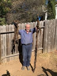 Roto rooter plumbing & drain provides a variety of plumbing services with a skilled plumber in chattanooga, tn. Roto Rooter Plumbing Drain Service Home Facebook