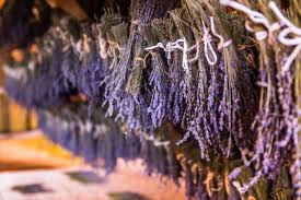 Check spelling or type a new query. Dried Lavender Hgtv