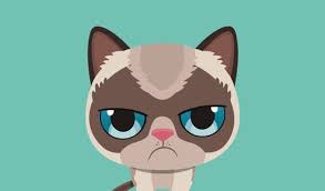 Grumpy Cat Game Quiz Answers Kitty Games Grumpy Cat Grumpy