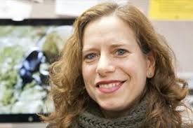 Special Event, Colloquium, or Workshop