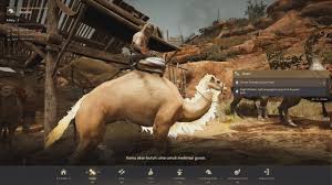 Then, click redeem to register your redeem code. Bdo Quest Camel How To Get Camel For Free Youtube