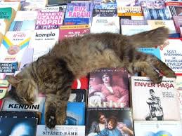 Kitapsever Kedi Kedi Hobi Sanat