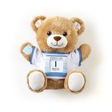 Blue Today I Am T Shirt Teddy Bear Gifts Baby Bear Baby Shower Newborn Baby Gifts