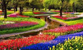 Terdapat banyak sekali bunga tulip, hyacints, dan sebagainya di taman ini. 6 Taman Bunga Dengan Pemandangan Paling Spektakuler Di Dunia