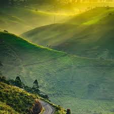 Check spelling or type a new query. Matahari Terbit Yang Fantastis Di Balik Indahnya Perkebunan Teh Cukul