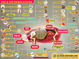 According to religious resources regarding halal and haram meat, there are general rulings and numerous standards; The Halal And Haram Principle In Islam Ppt Video Online Download