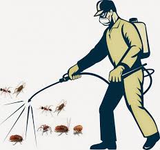 Để kiểm soát côn trùng có rất nhiều phương pháp như sử dụng hóa chất diệt côn trùng, nếu trên diện rộng thì có thể sử dụng máy móc thiết bị để phun thuốc diệt côn trùng, đối. Tin Chuyen Nganh Cong Ty Kiá»ƒm Soat Con Trung Viá»‡t Nam Vietnam Pest Control Muá»'i Con Trung