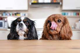 Can Dogs Eat Taro Root Cuteness