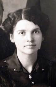 Schoonover Family History: Last Name Origin & Meaning