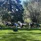 Rock Ledge Ranch Yoga in the Park