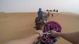 Download camel riding images and photos. Camel Ride Pov Stock Footage Royalty Free Stock Videos Pond5