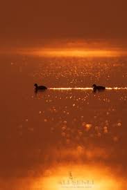 serenity turkiye