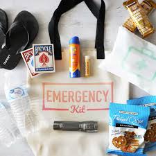 Image result for Emergency Car Kit