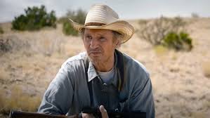 We let you watch movies online without. Box Office Liam Neeson S The Marksman Beats Wonder Woman 1984 Variety