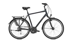 Raleigh Chester 27 Xxl B O C