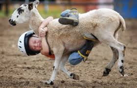 Goats live wild on mountains or are kept on farms to provide milk, meat, wool, etc.: Goat Rodeo Dictionary Com