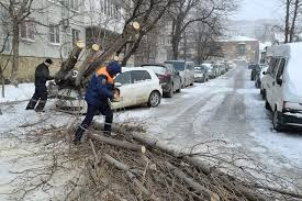При этом дул ветер примерно 34 м/с. V Novorossijske Vo Vremya Nord Osta Derevo Ruhnulo Na Inomarku