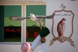 A person who breeds or trains hawks or other birds of prey for taking birds or game. Arab Falconry Microgate