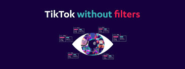 Tiktok Www Beuc Eu