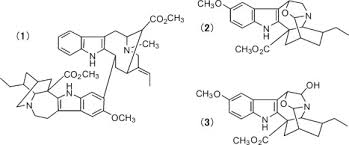 Image result for Voacanga pachyceras