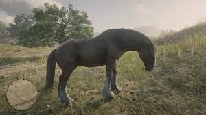 Red Dead Redemption 2 Alle Pferderassen Und Pferdeklassen