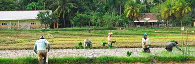 We did not find results for: Lumbung Padi Yang Jadi Kawasan Industri Historia
