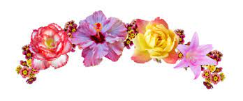 Transparent Flower Crown Google Search Imagem Em Png Png Carnaval