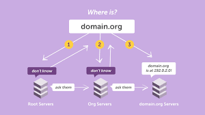 How Does Whois Work Namecheap