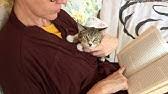 This opens in a new window. How To Tame A Scared Feral Cat Dormouse The Kitten Part 1 Of 7 Youtube