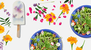 Pin On Recette