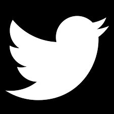 Image result for twitter logo black