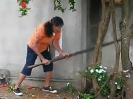 Resultado de imagem para mulher mata cÃ£o a pauladas