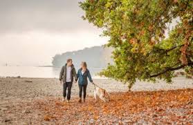 Der bodensee ist als größter see deutschlands natürlich ein super schönes urlaubsziel. Die Besten Tipps Fur Den Urlaub Mit Hund Am Bodensee