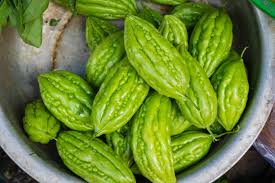 Image result for Momordica corymbifera