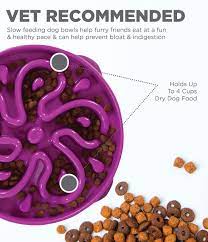 Kyjen Slow Feeder Dog Bowl Fun Feeder Stop Bloat Bowl For Dogs By Outward Hound Large Purple Check Out This Great Produ Dog Feeding Dog Bowls Outward Hound