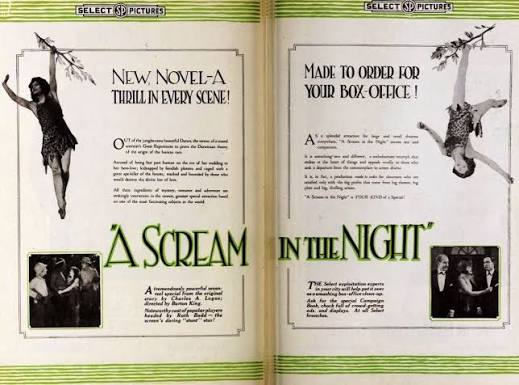 A Scream in the Night (1919 film) - Wikipedia
