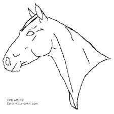 Download this running horse printable to entertain your child. Quarter Horse Mare Headstudy Coloring Page