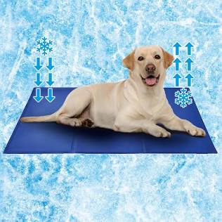 Pressure-activated gel mats are highly popular and require no electricity. (Source: diy.com), AI generated