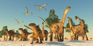 We did not find results for: Los Dinosaurios Luchaban Por Sobrevivir Mucho Antes Del Meteorito Tecreview
