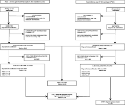 An Evidence Based Medicine Approach To Small Animal