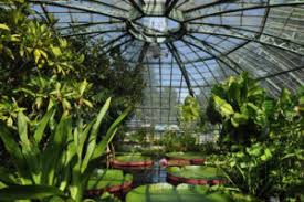 Die gärtnerei und der botanischen garten gehören ebenfalls zu stadtgrün. Archiv Garten Deu Botanica