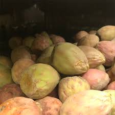 Cactus fruit is rich in betanin, polyphenols and other potent antioxidants that support liver health, protect against heart disease and reduce the fruit isn't the only edible part of the prickly pear cactus. Xoconostle Cactus Fruit Information And Facts