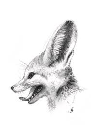 How to draw a fennec fox step by step, learn drawing by this tutorial for kids and adults. Fennec Fox Drawing By Martina Seketa